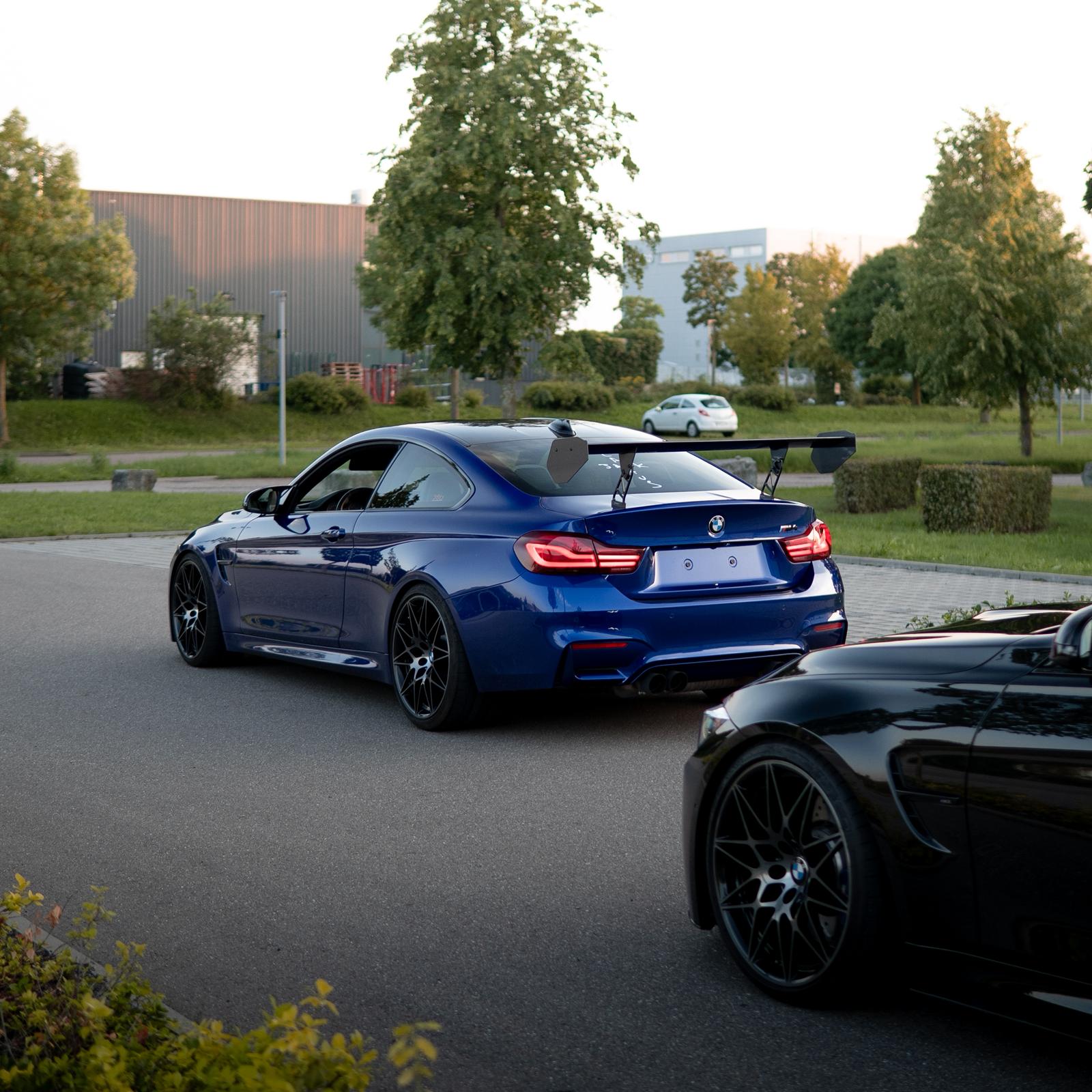 CFK Seitenteile "CUP"